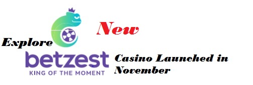 Explore New Betzest Casino Launched in November